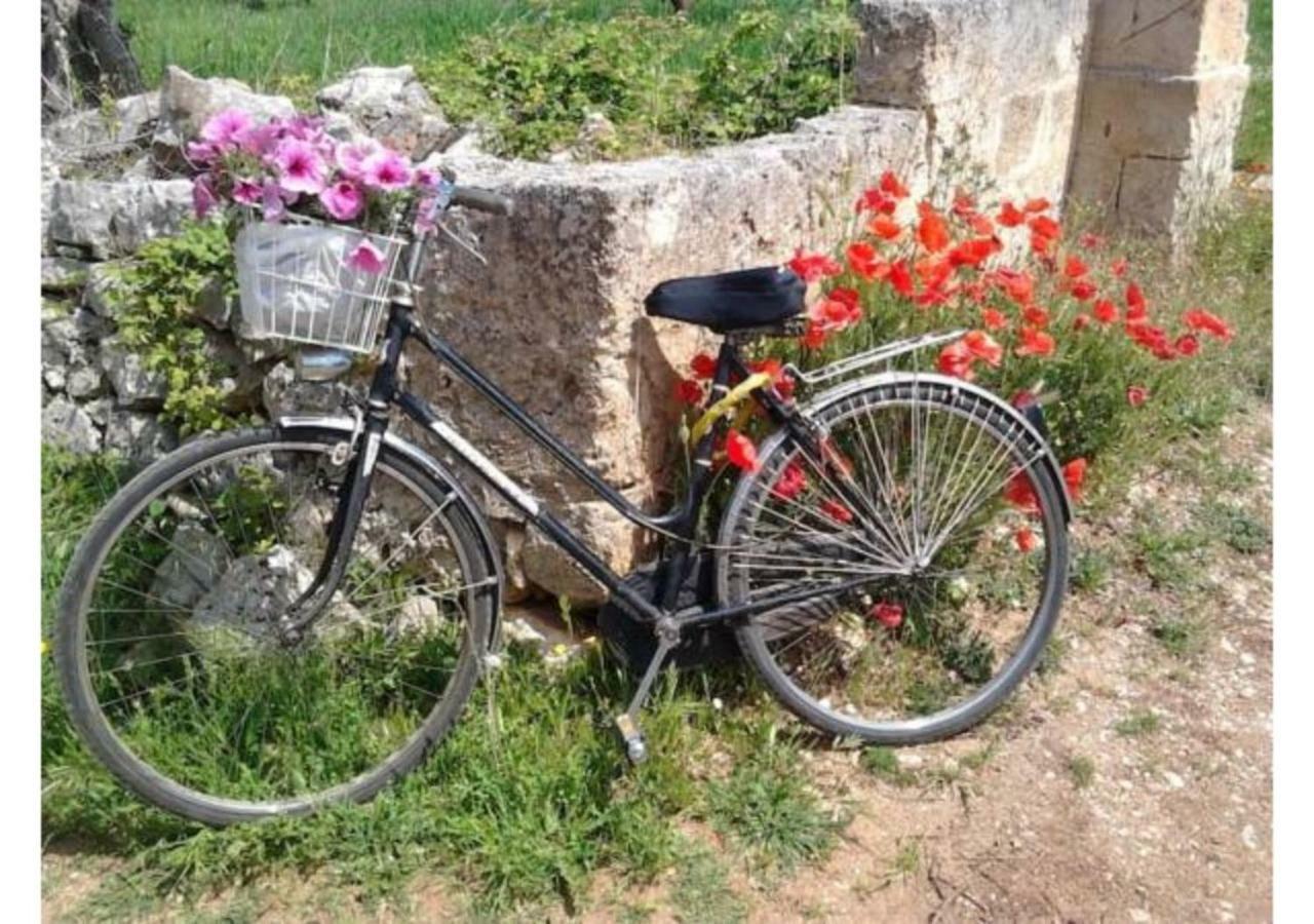 Mansarda Romantica "Il Nido Delle Rondini" Conversano Eksteriør bilde