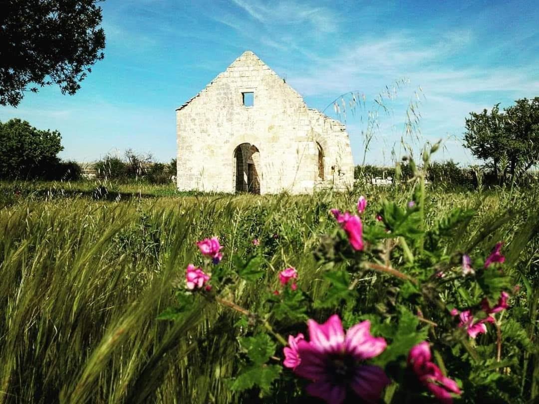 Mansarda Romantica "Il Nido Delle Rondini" Conversano Eksteriør bilde